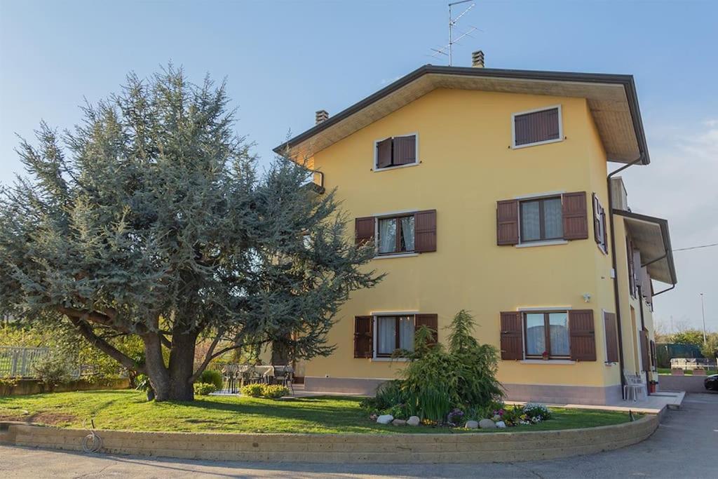 une maison jaune avec un arbre devant elle dans l'établissement Agriturismo Pino Argentato, à Bussolengo