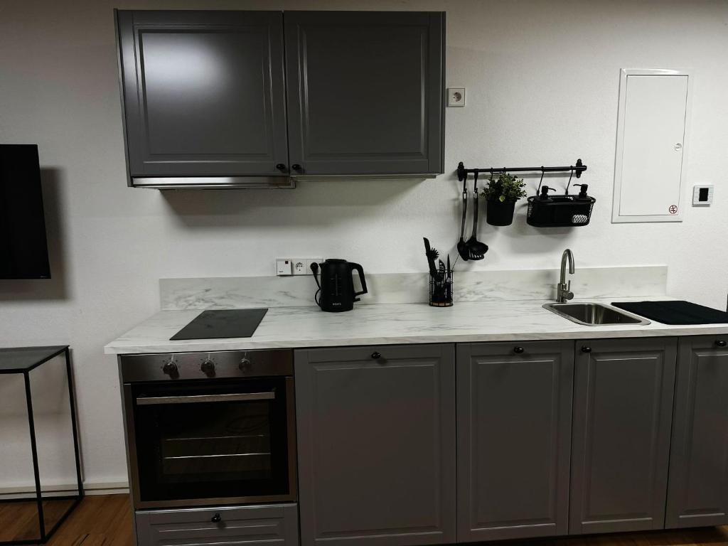 Η κουζίνα ή μικρή κουζίνα στο Vinum Apartment