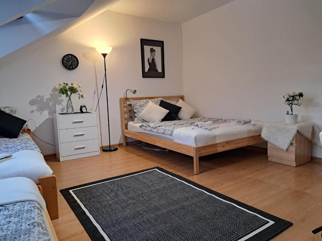 Willa Krakowia - Habitación Doble Grande