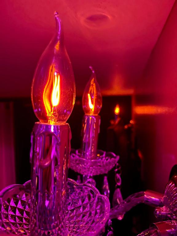Fotografie z fotogalerie ubytování La Terrasse Des Spas - Restaurant - Institut Massage v destinaci Hazebrouck