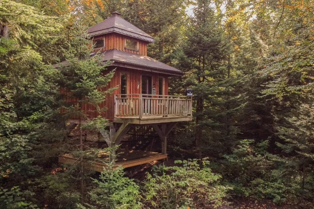 Zahrada ubytování Les Refuges Perchés Mont-Tremblant