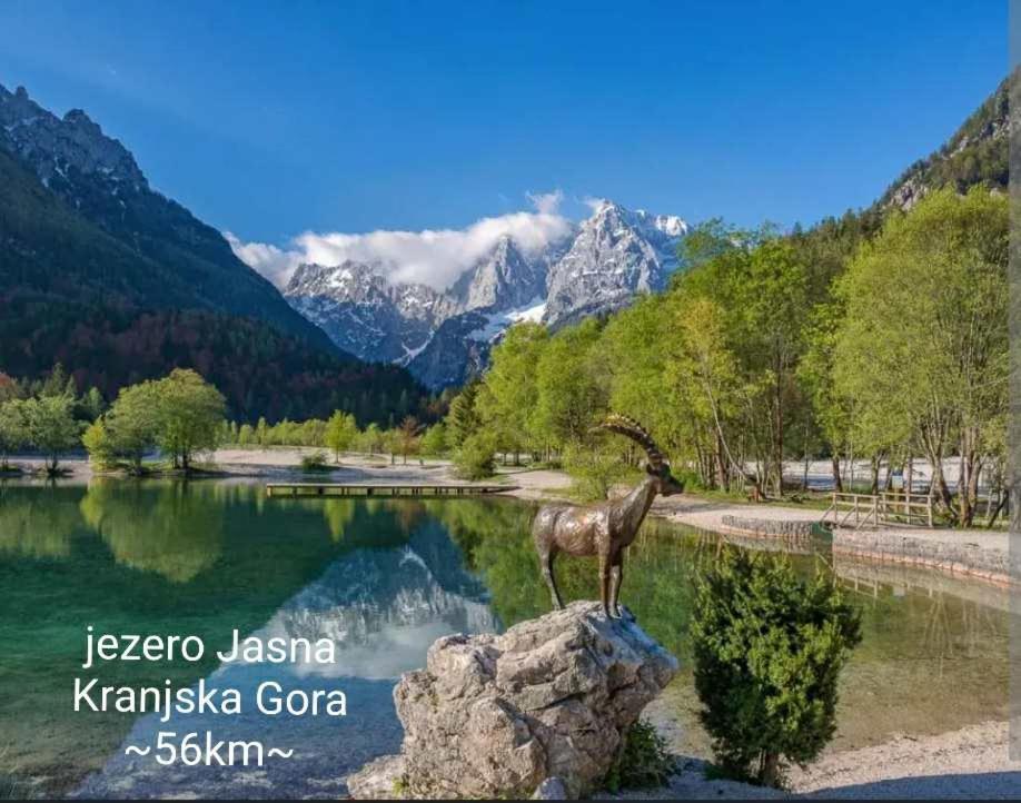 Příroda nedaleko venkovského domu