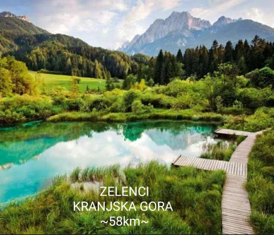 Příroda nedaleko venkovského domu