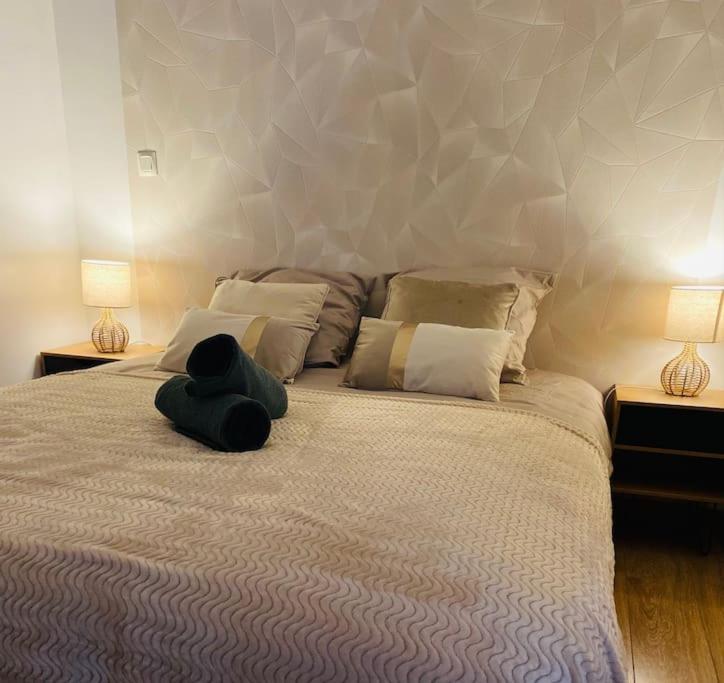 1 dormitorio con 1 cama grande y 2 lámparas en Chez Mischa, en Épernay