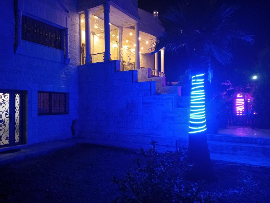 een huis met een palmboom verlicht in de nacht bij Bait al salam in Um Qeis
