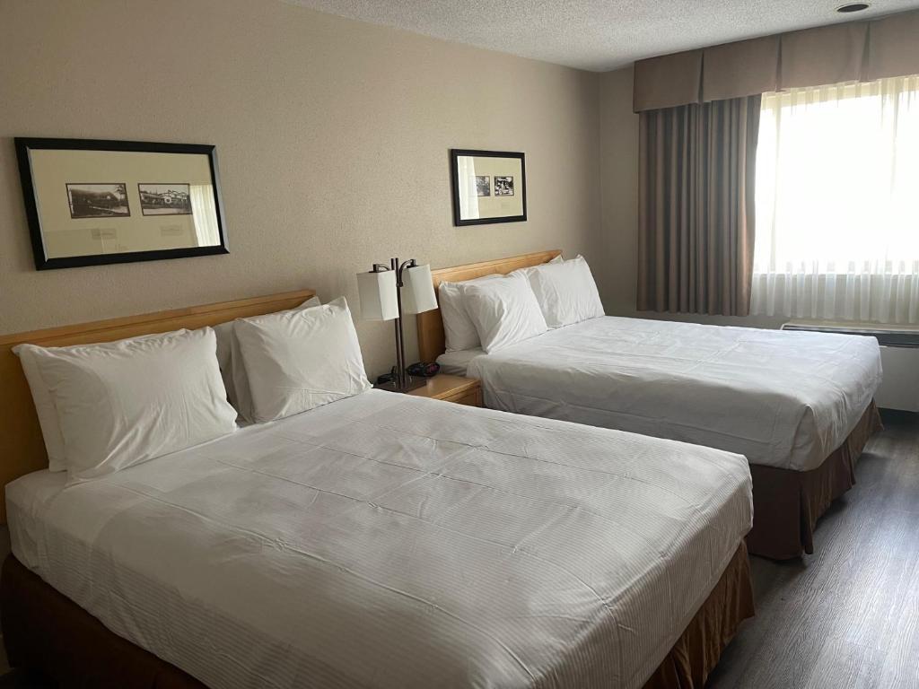 a hotel room with two beds and a window at Chelsea Inn in Coquitlam