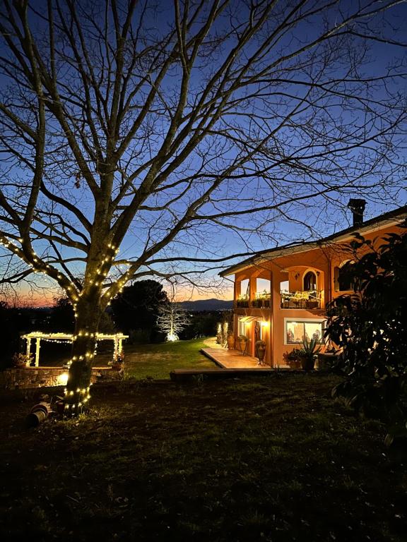 una casa con luces de Navidad junto a un árbol en Villa Toce B&B en Cave