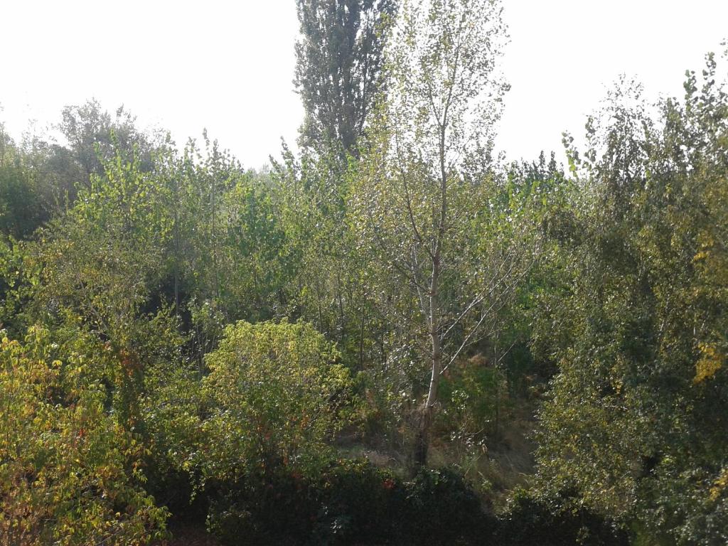 Bed Breakfast Hotel Budapest - Resim 6