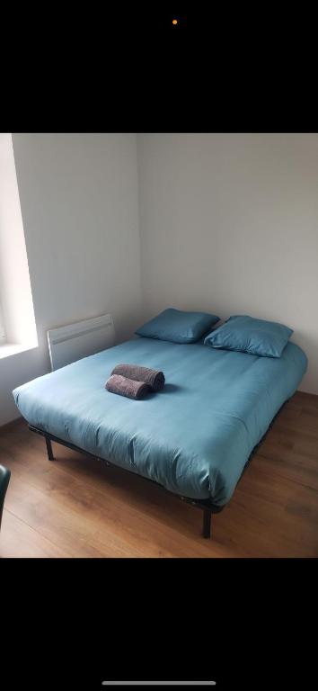a bed with blue sheets and pillows in a room at Colocation à côté d’Artem in Vandoeuvre-lès-Nancy
