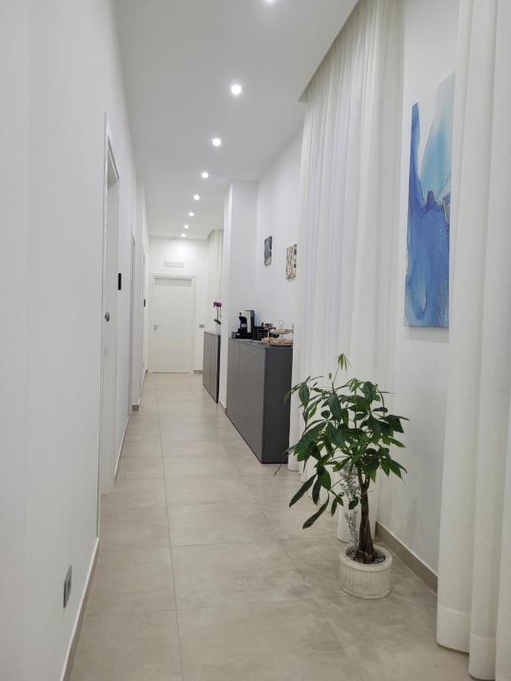 Vstupní hala nebo recepce v ubytování Gemini rooms
