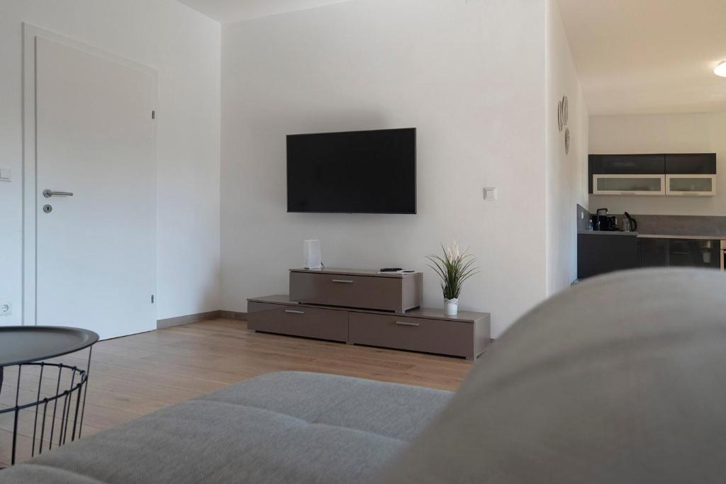 TV a/nebo společenská místnost v ubytování Apartment mit Parkblick