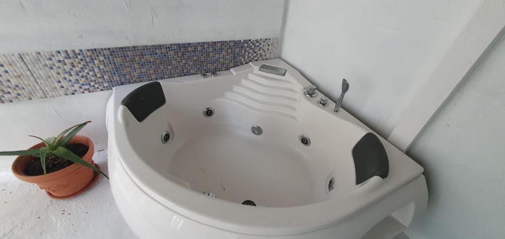 Fotografie z fotogalerie ubytování Spa center Apartment Belgrad v destinaci Brestovik
