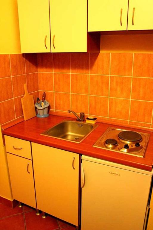 Kuchyň nebo kuchyňský kout v ubytování Garni Hotel Meduza