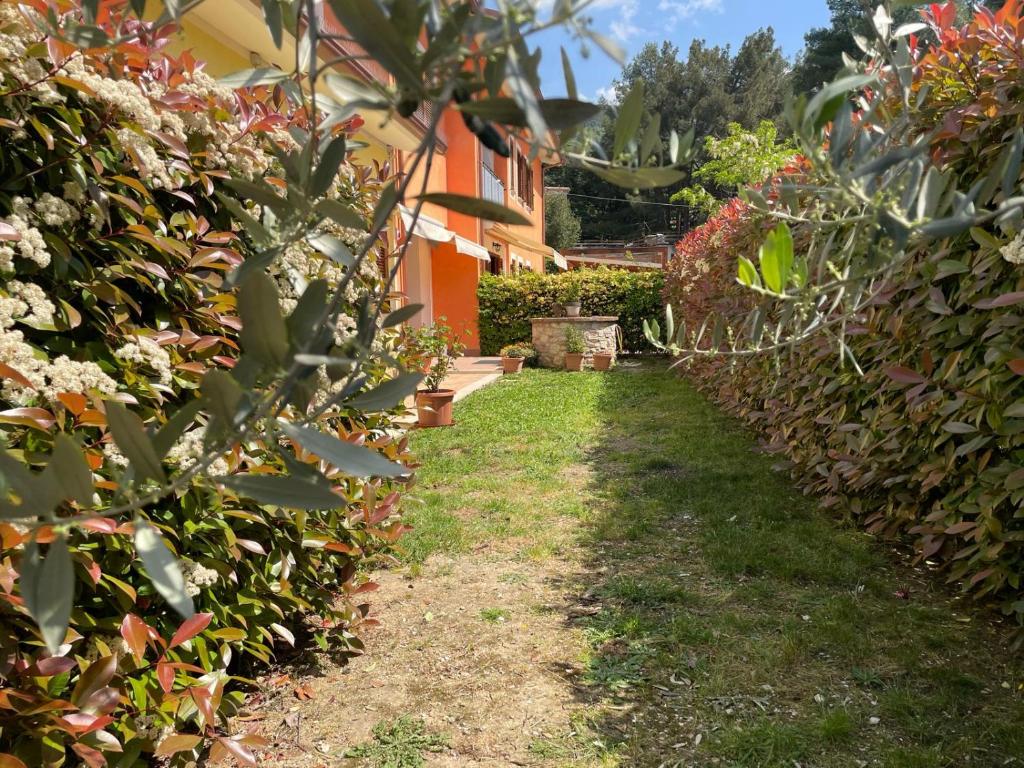 Zahrada ubytování Casa Achille