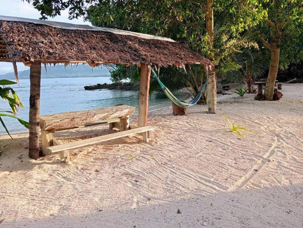a hammock and a hut on a beach at Hideaway Paradise Beach Bungalows in Hog Harbour