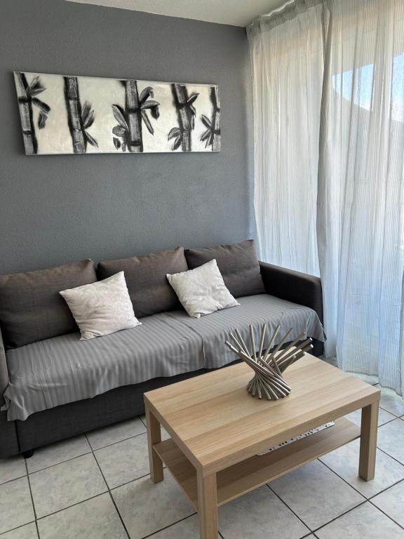 un salon avec un canapé et une table basse dans l'établissement Studio cosy centre ville et plage, à La Grande Motte