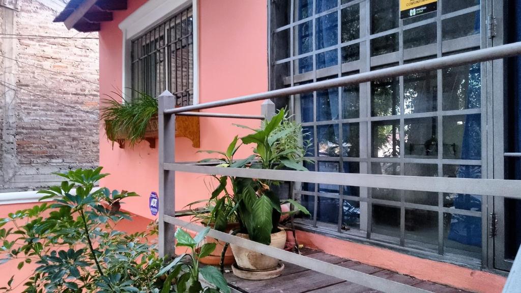 a house with plants in front of a window at Colibrí Andino in La Cieneguita