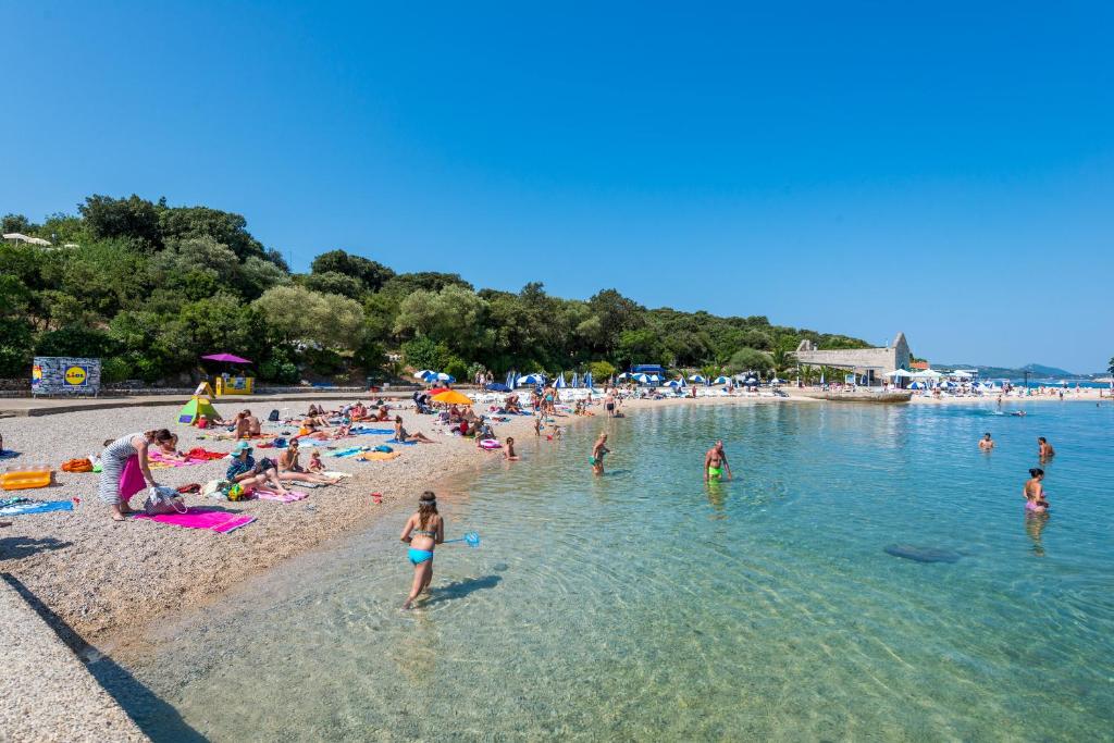 Príroda v okolí apartmánu