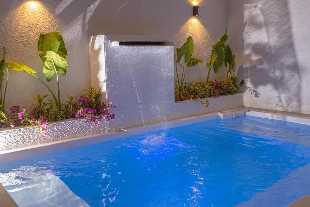 a swimming pool with a fountain in a room with plants at NOVO Hotel Boutique in Ríohacha