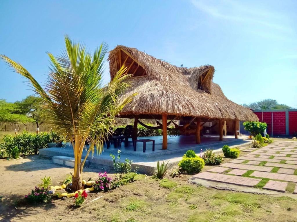 une cabane avec un toit de paille et un palmier dans l'établissement Hotel Alikaa Wayira, à Ríohacha