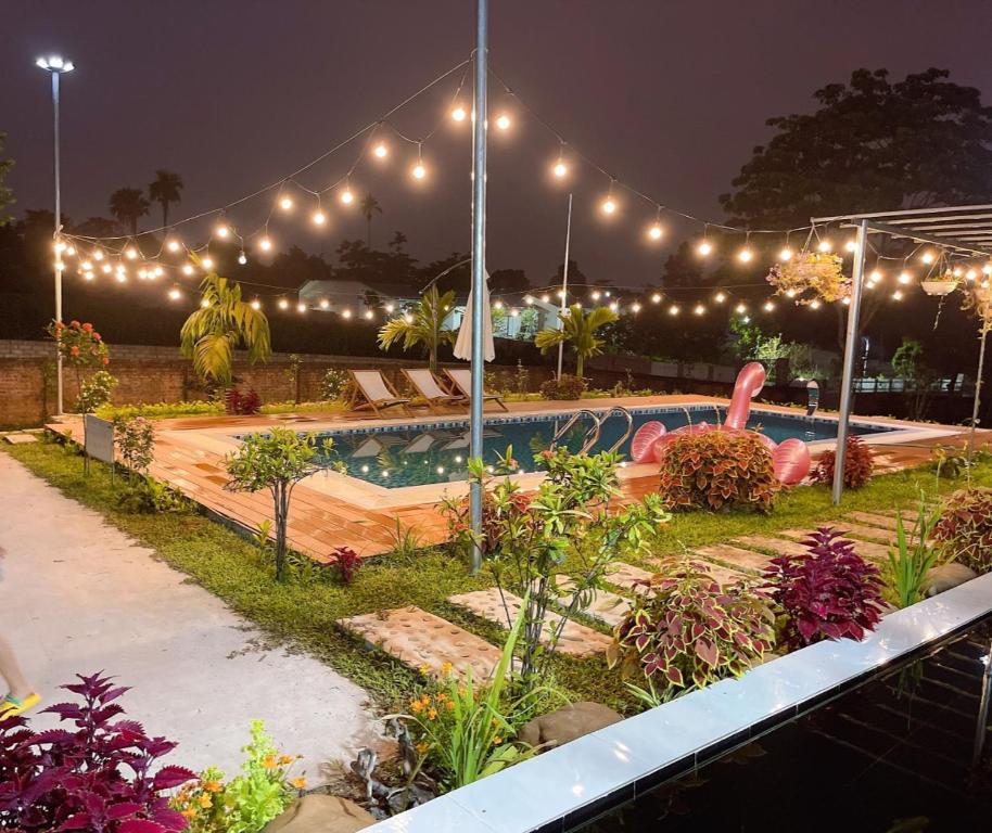 una piscina por la noche con luces y plantas en Kazin Homestay Ba vì, en Ba Vì