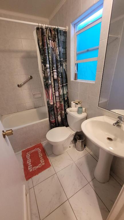 ein Bad mit einem Waschbecken, einem WC und einer Dusche in der Unterkunft Apartamento Estocolmo I in Valdivia