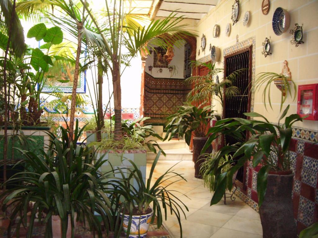 uma sala cheia de vasos de plantas em Pensión San Andrés I em Jerez de la Frontera
