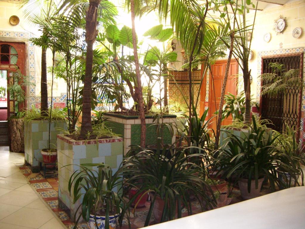 Pensión San Andrés I - 16