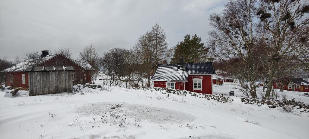 Cottage Sandholm взимку