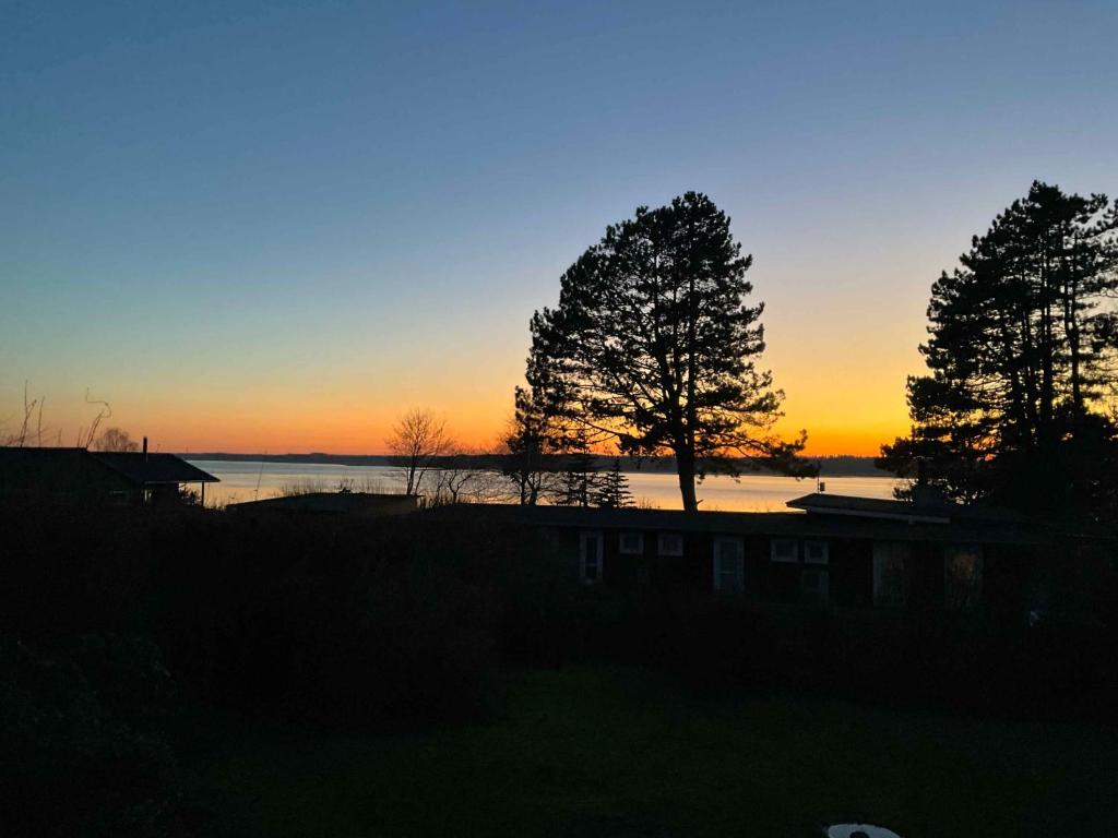 een zonsondergang boven het water met twee bomen en een huis bij Kildelodden14 in Ølsted