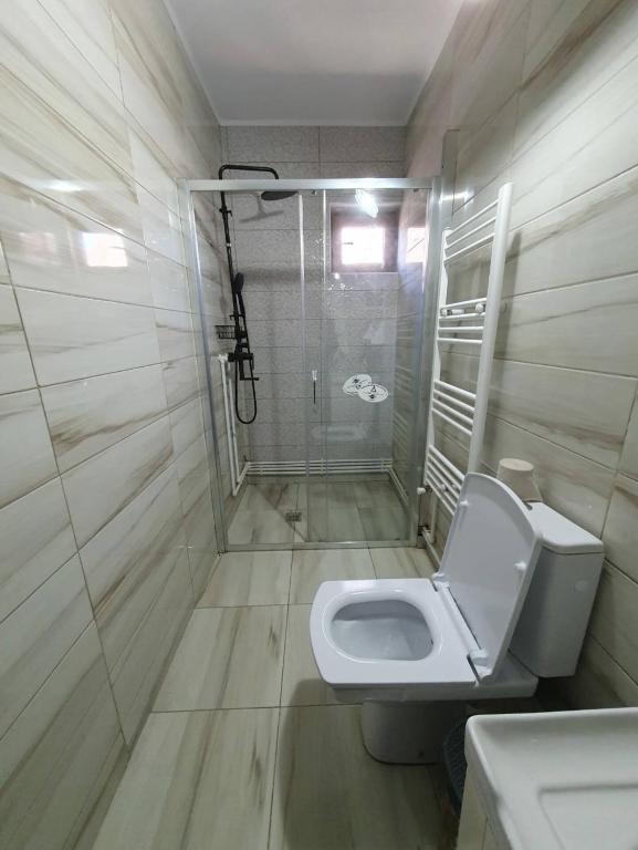 a bathroom with a shower and a toilet and a sink at Lotca lu Vasile in Crisan