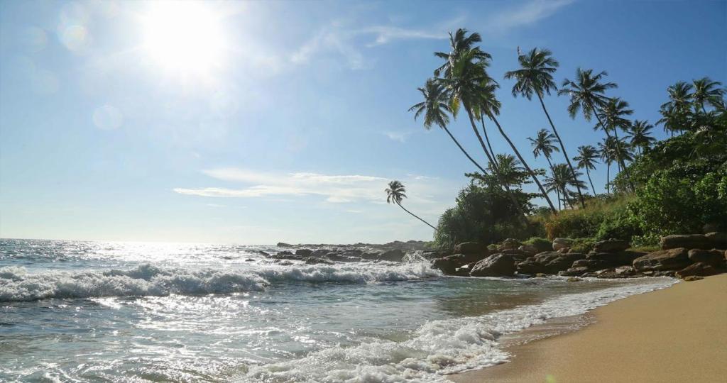 a beach with palm trees and the ocean at Bluewind Resort in Tangalle
