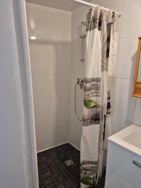 y baño con ducha y cortina de ducha. en La Brionnaise Studio, en Brionne