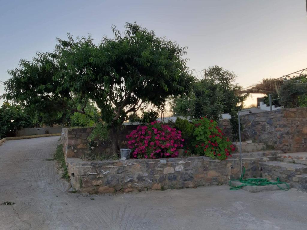 Gallery image of Niki's house in Áyios Andónios
