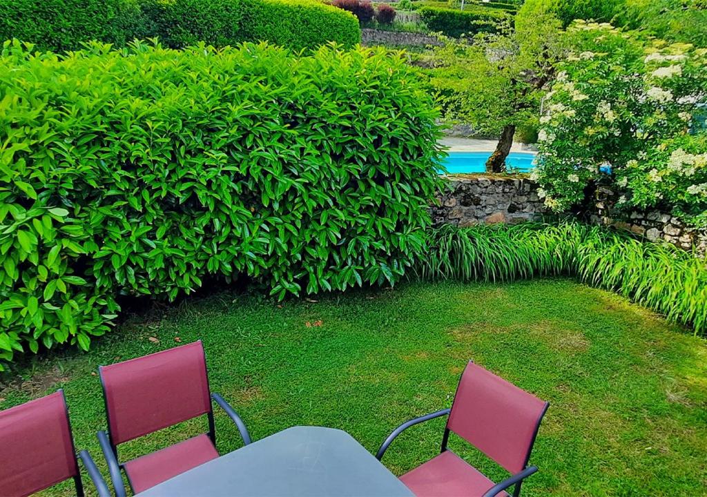 Domaine de Mezeyrac - Laguiole - Apartamento - Nivel Dividido