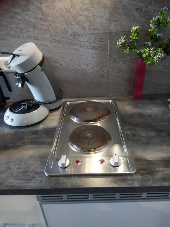 Kuchyň nebo kuchyňský kout v ubytování Kleines Nest