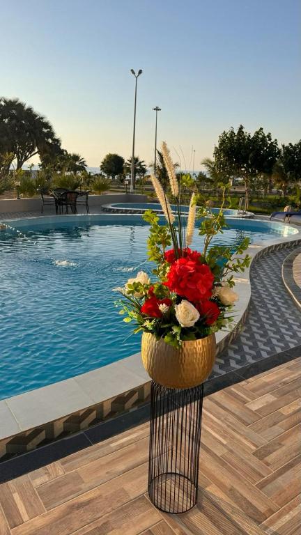 Bazén v ubytování Wissam Al-Hawra Hotel nebo v jeho okolí