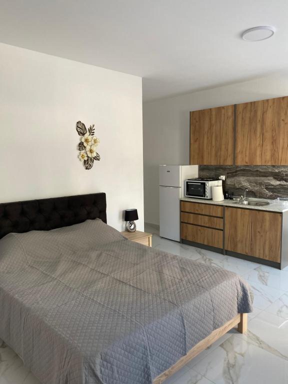 una camera con letto e cucina di Amira Dream Apartman a Nea Kalikratia