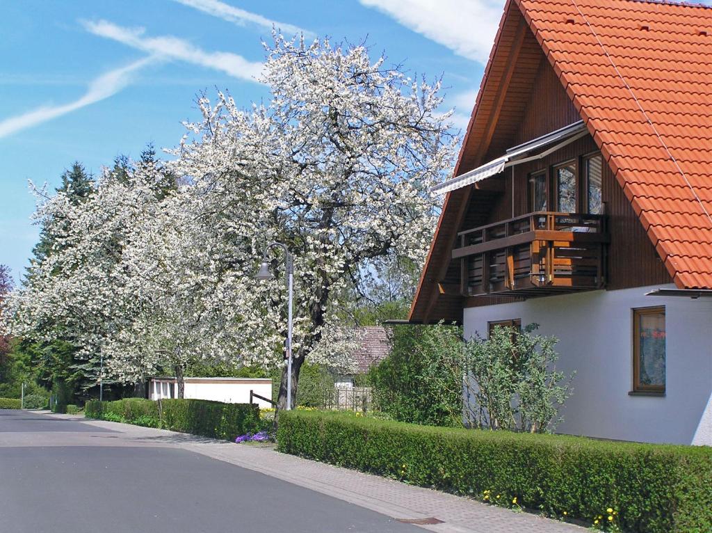 ein Haus mit einem blühenden Baum neben einer Straße in der Unterkunft Ferienwohnung Am Schlosspark in Schlitz