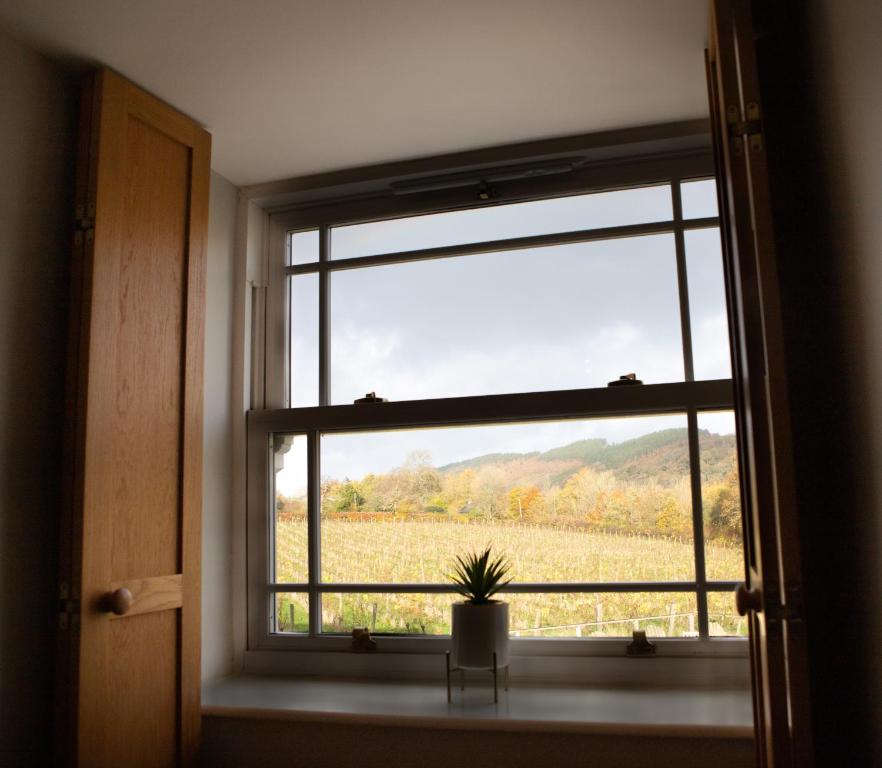 Fotografie z fotogalerie ubytování Vineyard Country Cottage v destinaci Llanerch-Aeron