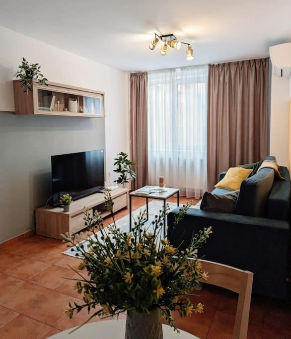a living room with a blue couch and a tv at Peaceful Victory Square Home in Timişoara