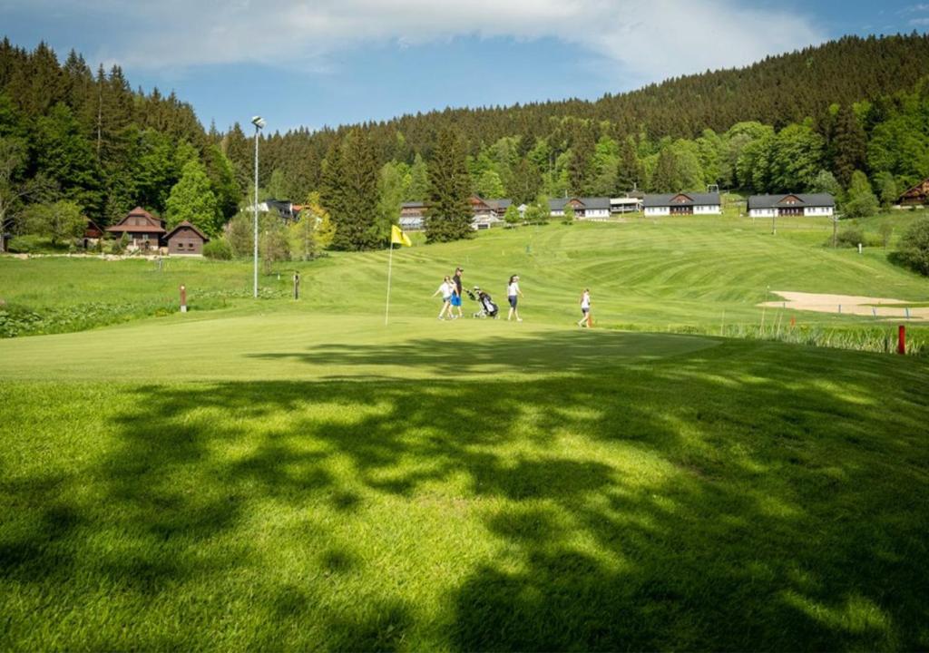 Príroda v okolí horskej chaty