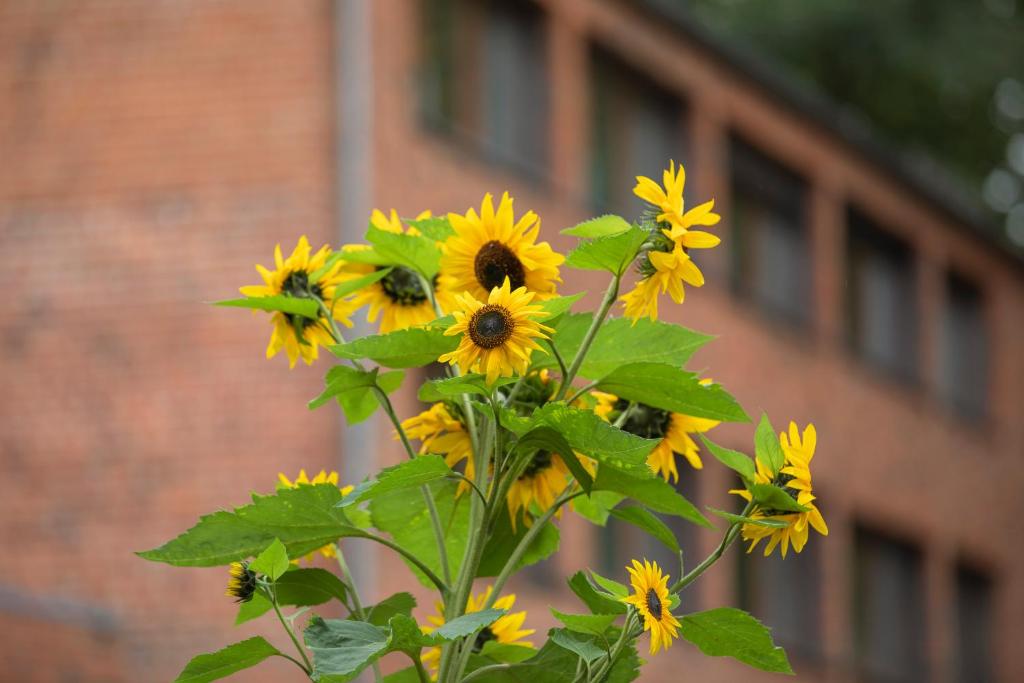 Umwelt Bildungszentrum Berlin - Resim 12