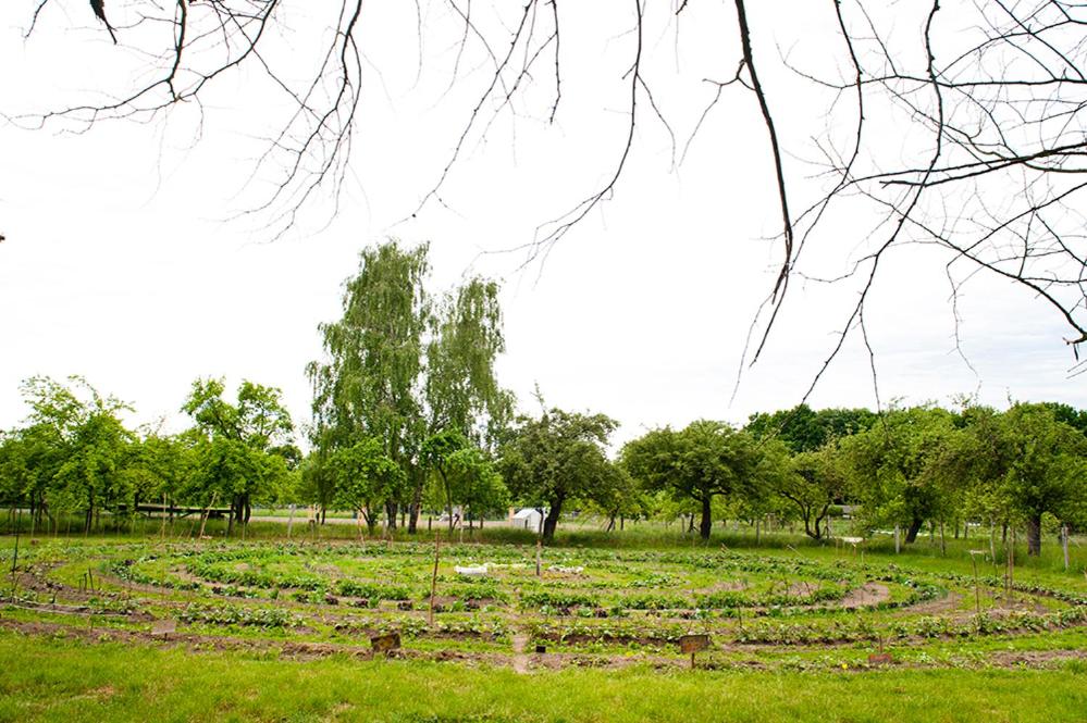 Umwelt Bildungszentrum Berlin - Resim 14