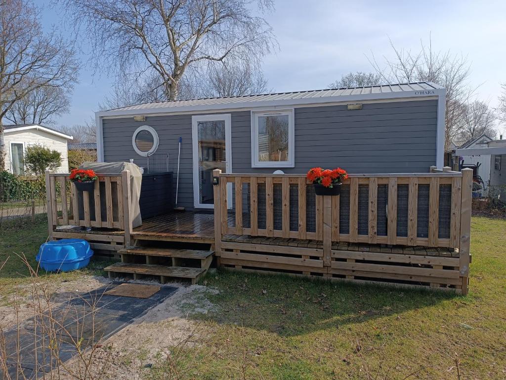 een tiny house met een veranda en een terras bij BJ Chalets - Robbengat 85 - Gezellige, kindvriendelijke chalet op vakantiepark Lauwersoog! Vroege incheck! in Lauwersoog