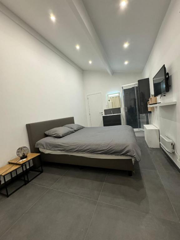 a bedroom with a bed and a television in it at Chez Antoine in Saint-Ghislain