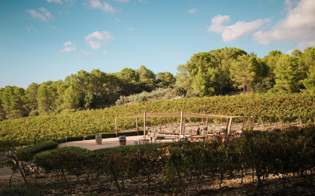 Luxury hotels in Mallorca 547603192