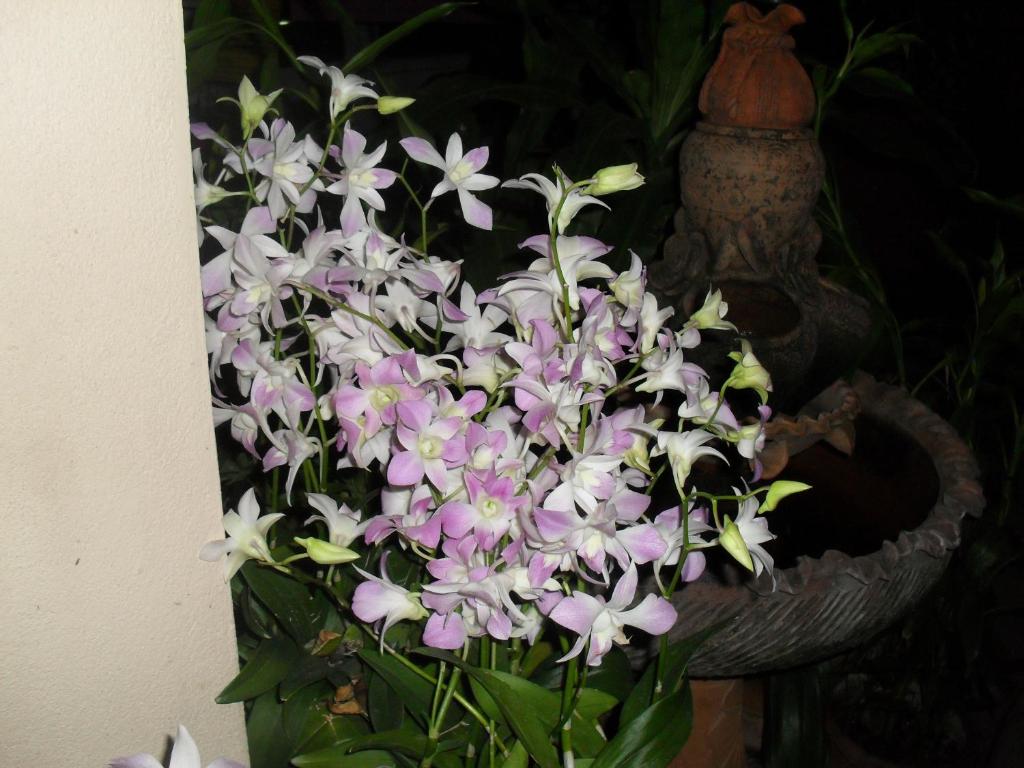 Your House 3 Guest House - Resim 25