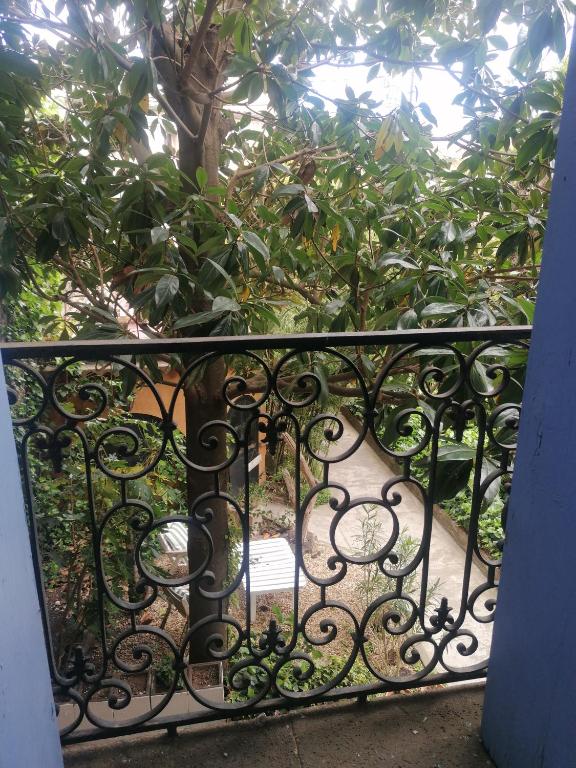 Zoralie - Suíte Júnior Com Vista Para O Jardim