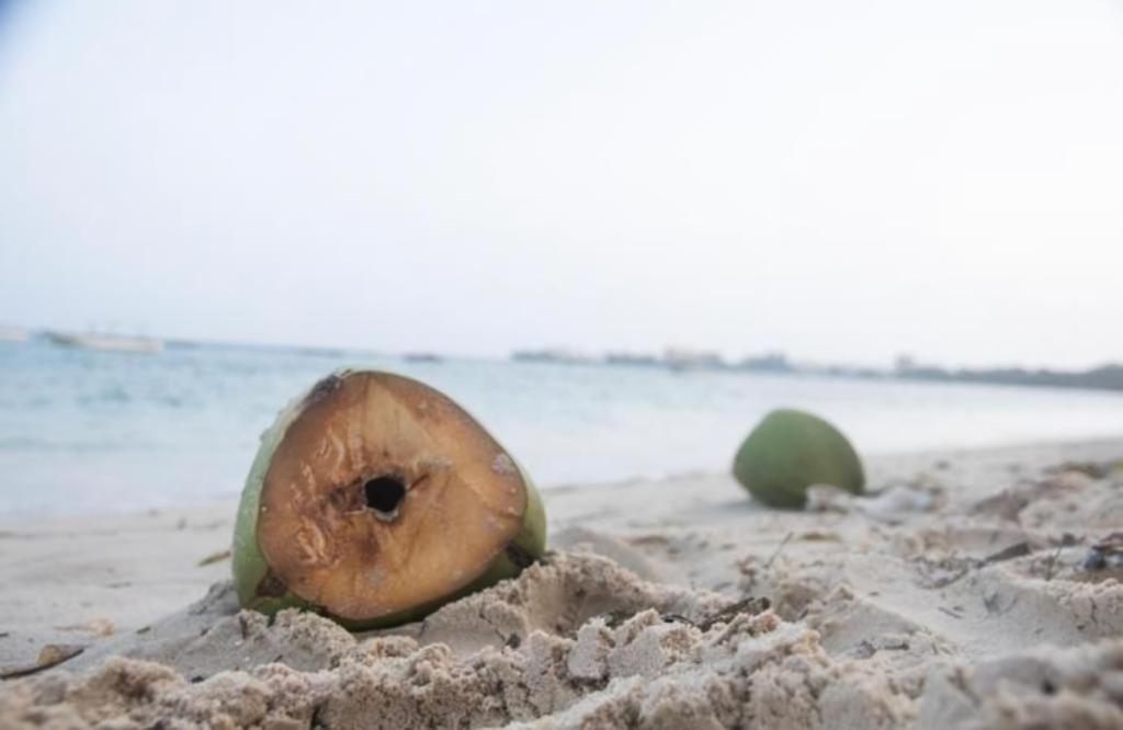 een stuk fruit in het zand op het strand bij Beachfront Paradise Apartment in Mombasa